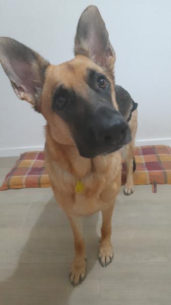 Lola