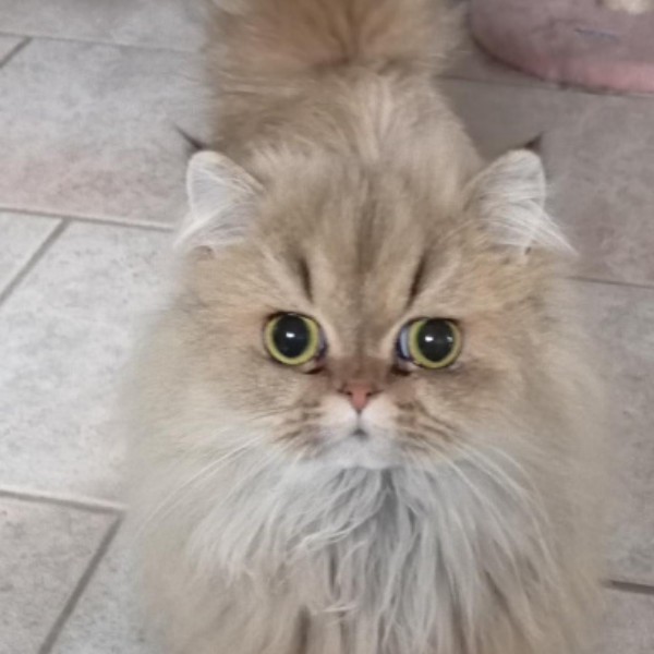 Sabrina