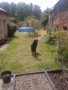 PHILIPPE