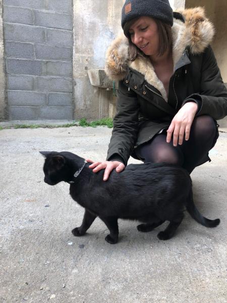 Virginie